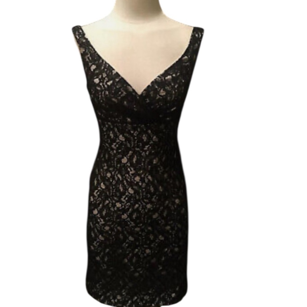 NWT WHBM Lace Over Nude V-Neck Sleeveless Dress Size 6